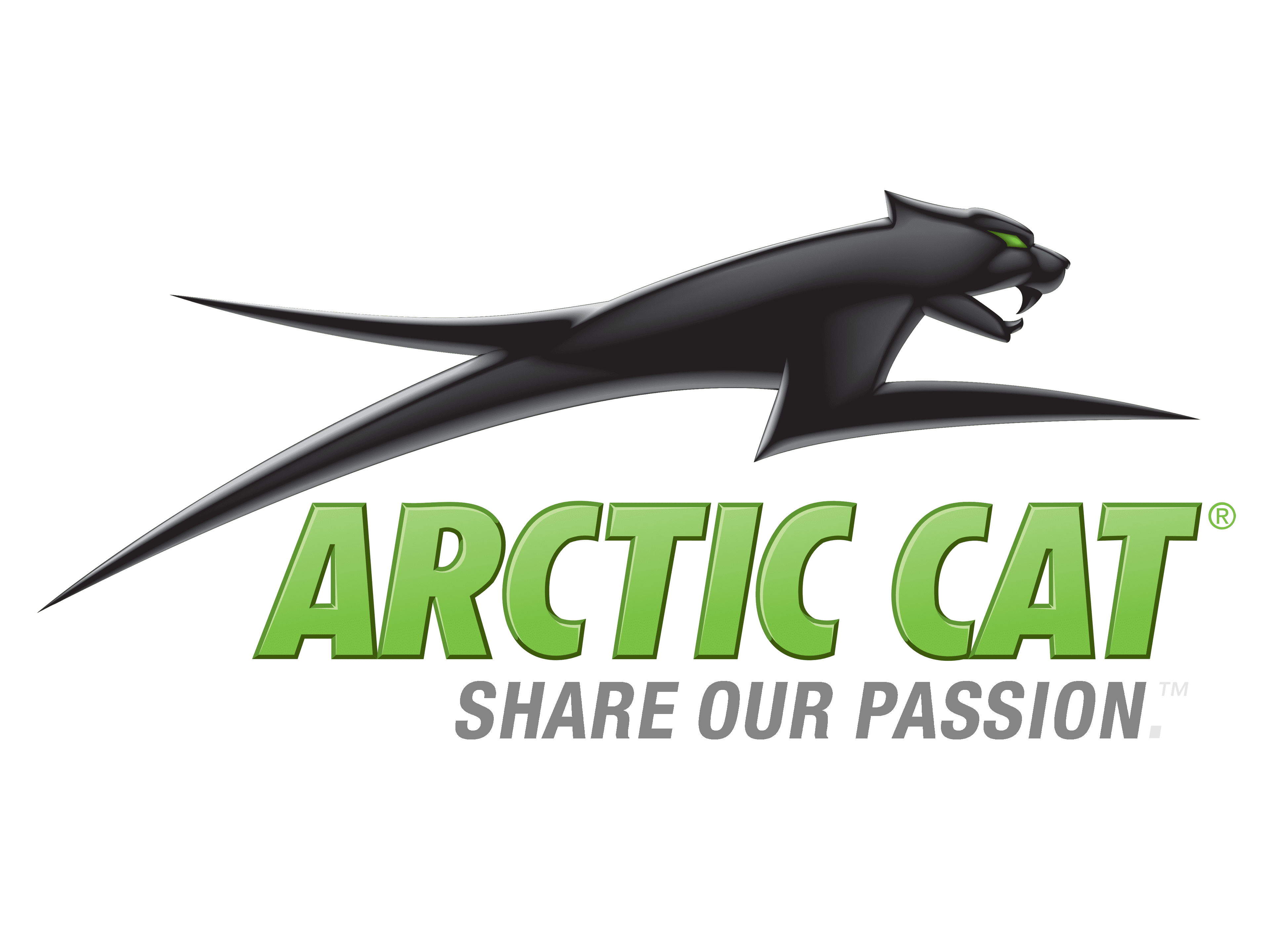 Arctic Cat