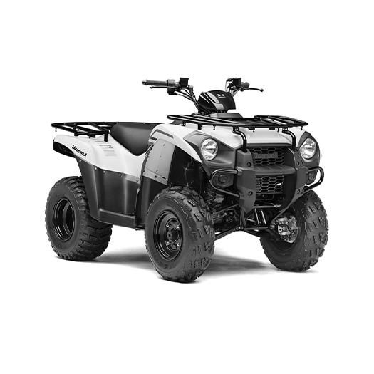 Kawasaki Brute Force
