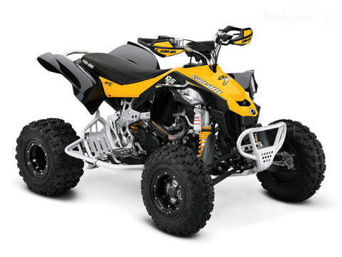 Can Am DS450