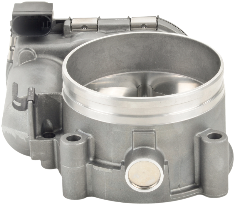 Bosch Throttle Bodies