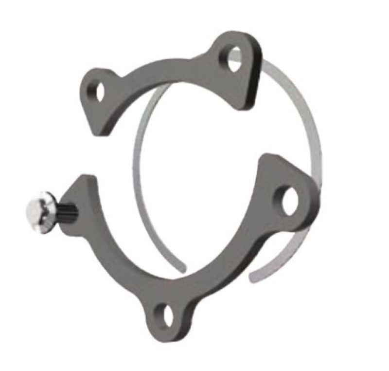 BorgWarner Clamps