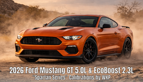 Warranty Killer Performance Gasoline Tuning