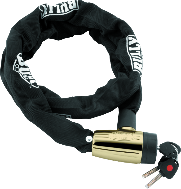 BikeMaster Security Locks