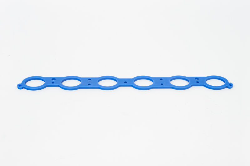 CSF Intake Gaskets