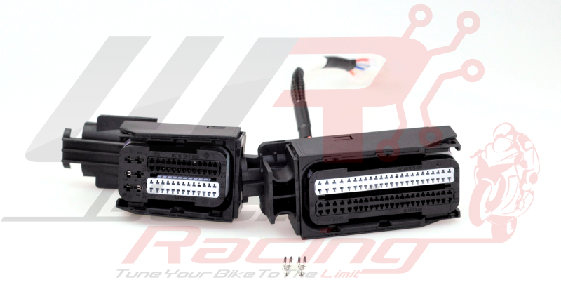 BMW Bench Harness Type 2