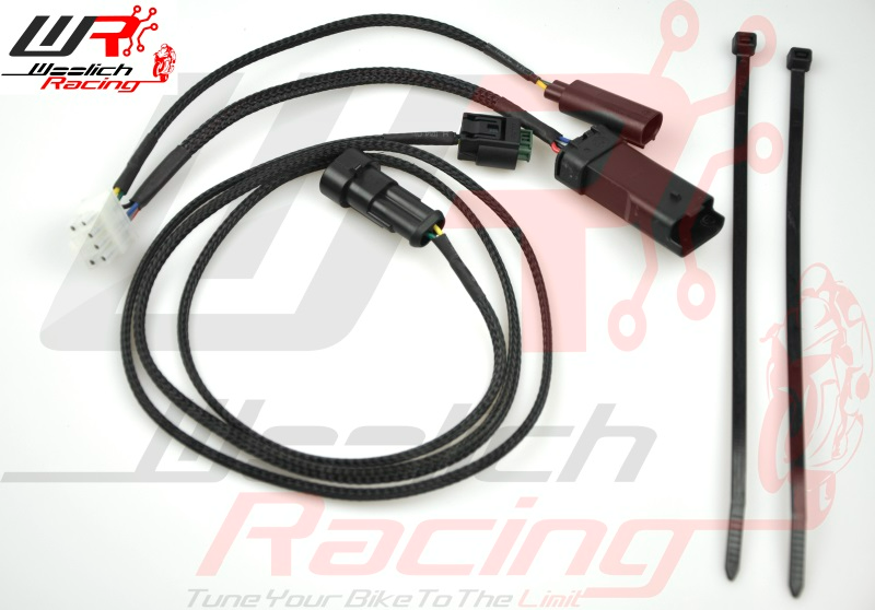 Ducati Harness Type 1a