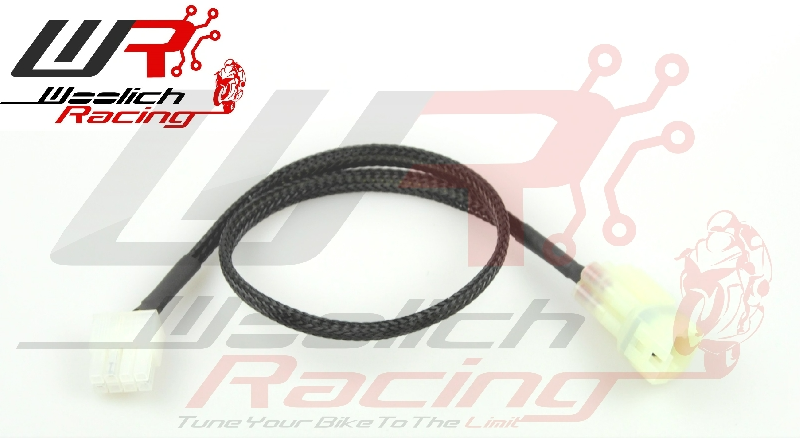 Woolich Racing Honda