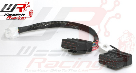 Kawasaki Bench Harness Type 12