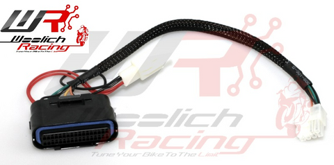 Kawasaki Bench Harness Type 10
