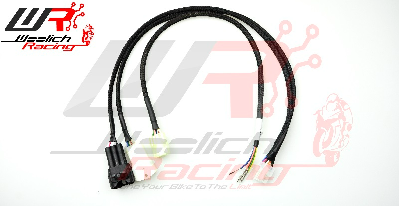 Suzuki Harness Type 9