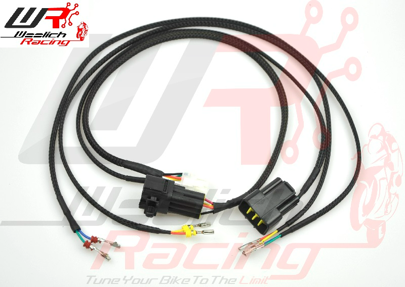 Suzuki Harness Type 2a
