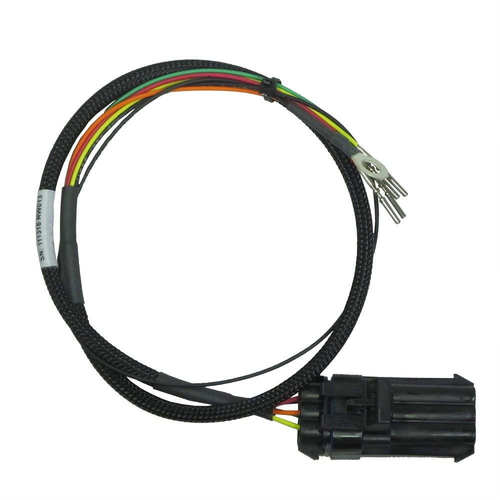 6-Pin Bike Side Harness Type 5