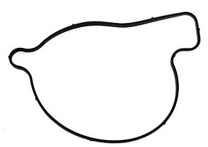 Can Am Water Pump Cover Gasket - Warranty Killer Performance