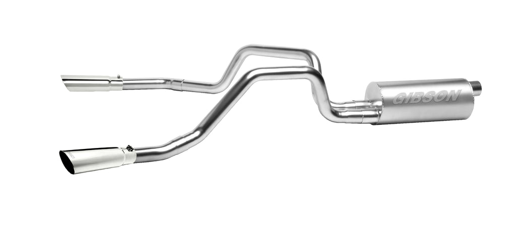 Cat-Back Dual Split Exhaust System, Aluminized (Dual)