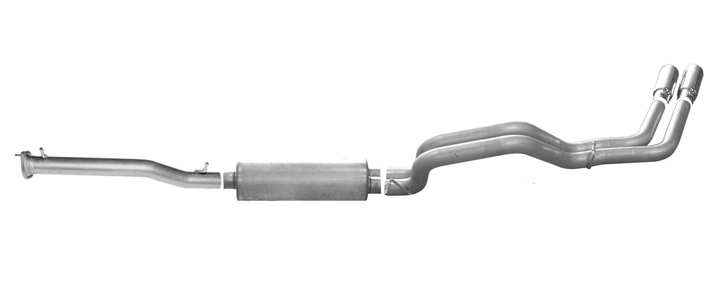 Cat-Back Dual Sport Exhaust System, Aluminized (Dual)