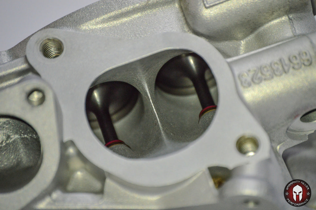 Can Am 800 Gen 1 Bom Race Heads - Warranty Killer Performance