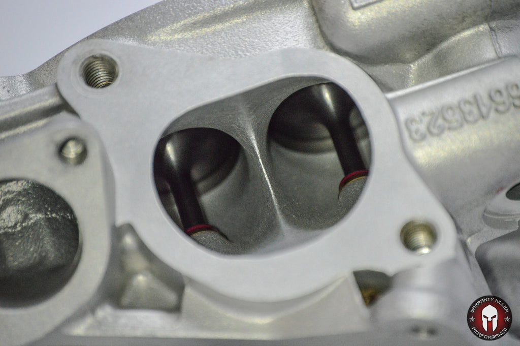 Can Am 800 Gen 1 Bom Race Heads - Warranty Killer Performance