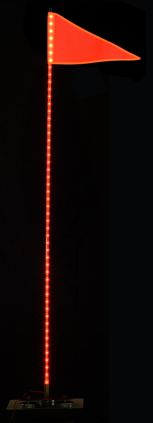 Quake LED Whip Light